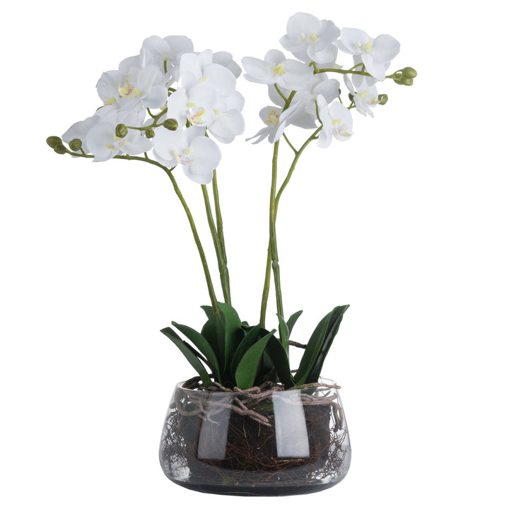 Medium Glass Potted Artificial White Orchid