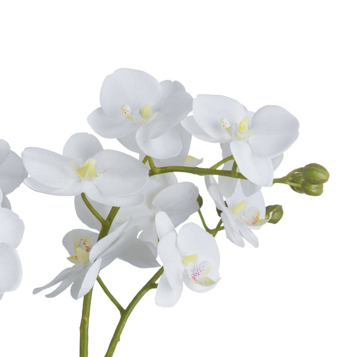 Medium Glass Potted Artificial White Orchid