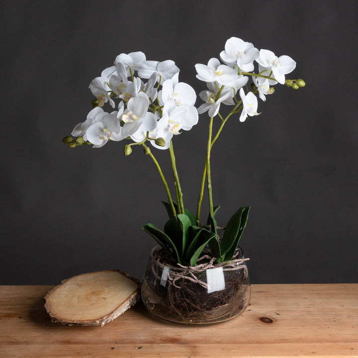 Medium Glass Potted Artificial White Orchid