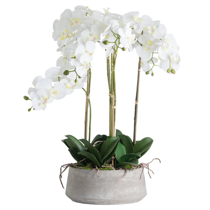Large Stone Potted Artificial White Orchid