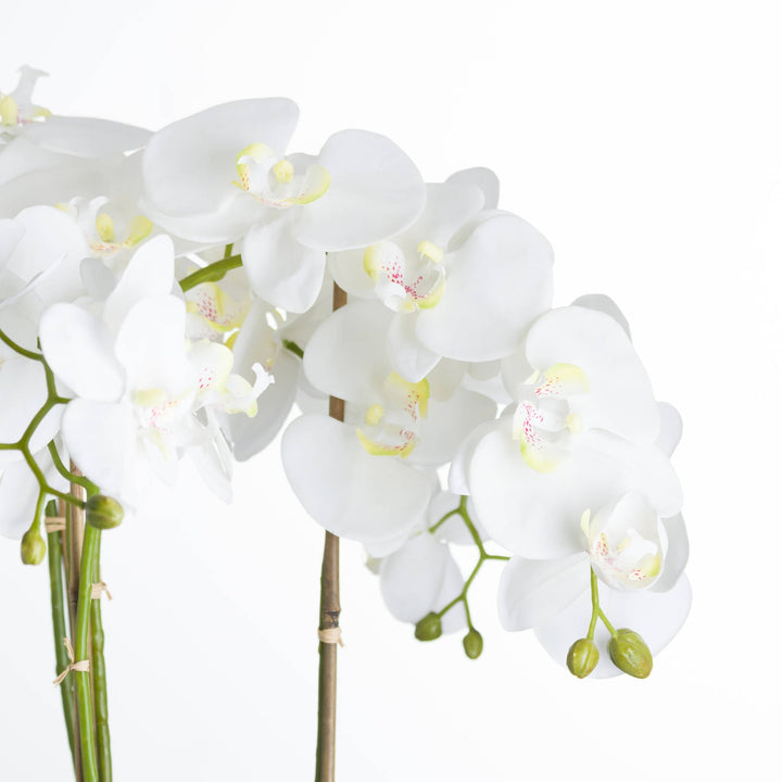Large Stone Potted Artificial White Orchid