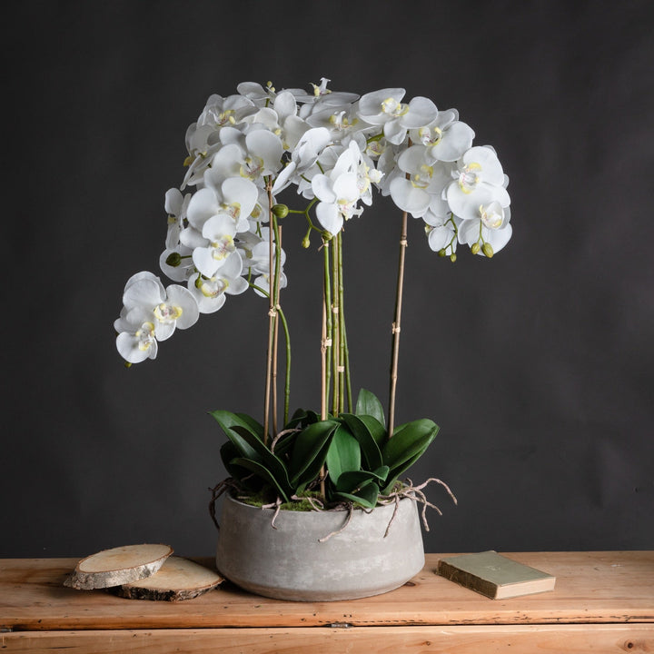 Large Stone Potted Artificial White Orchid