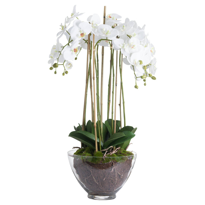 Large Glass Potted Artificial White Orchid