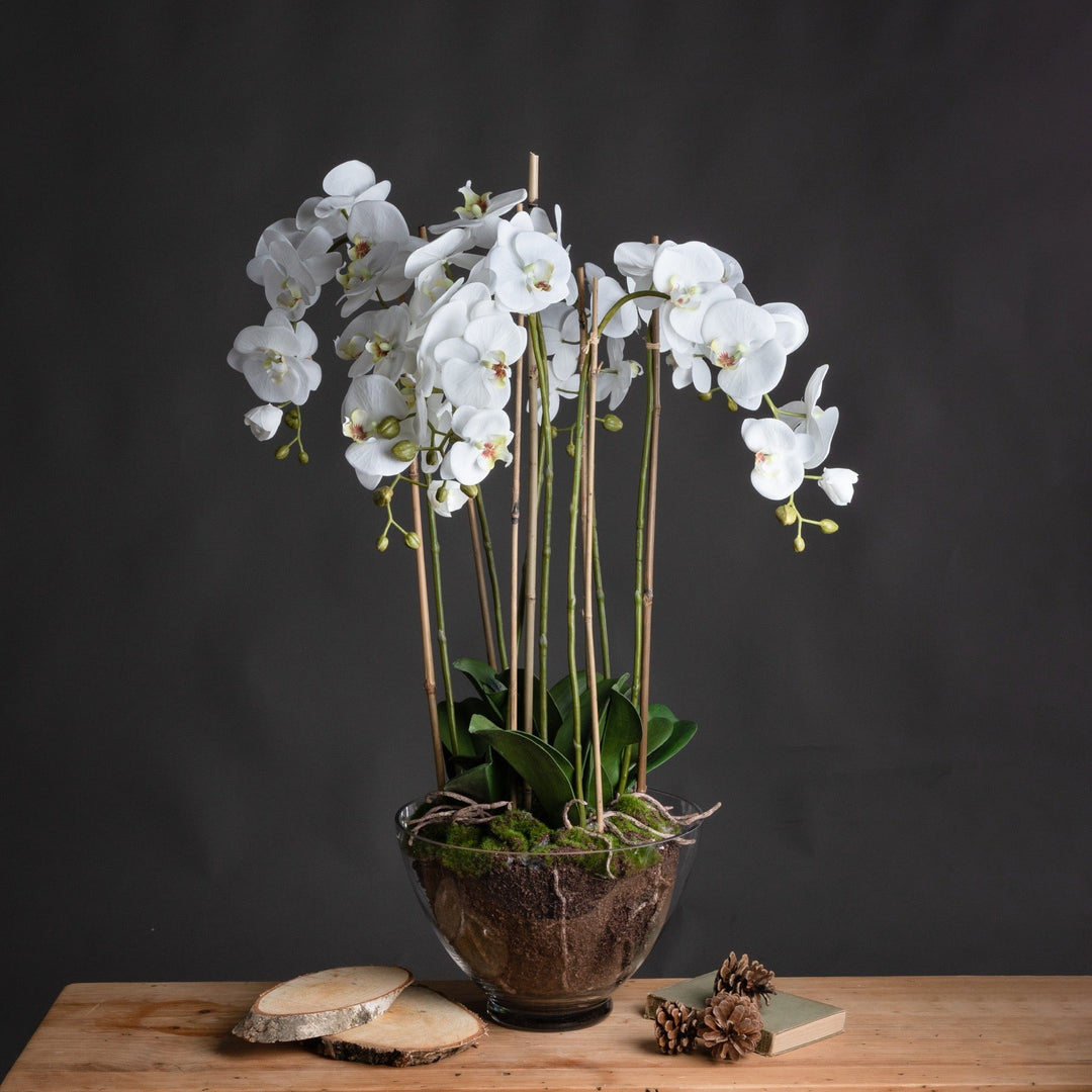 Large Glass Potted Artificial White Orchid