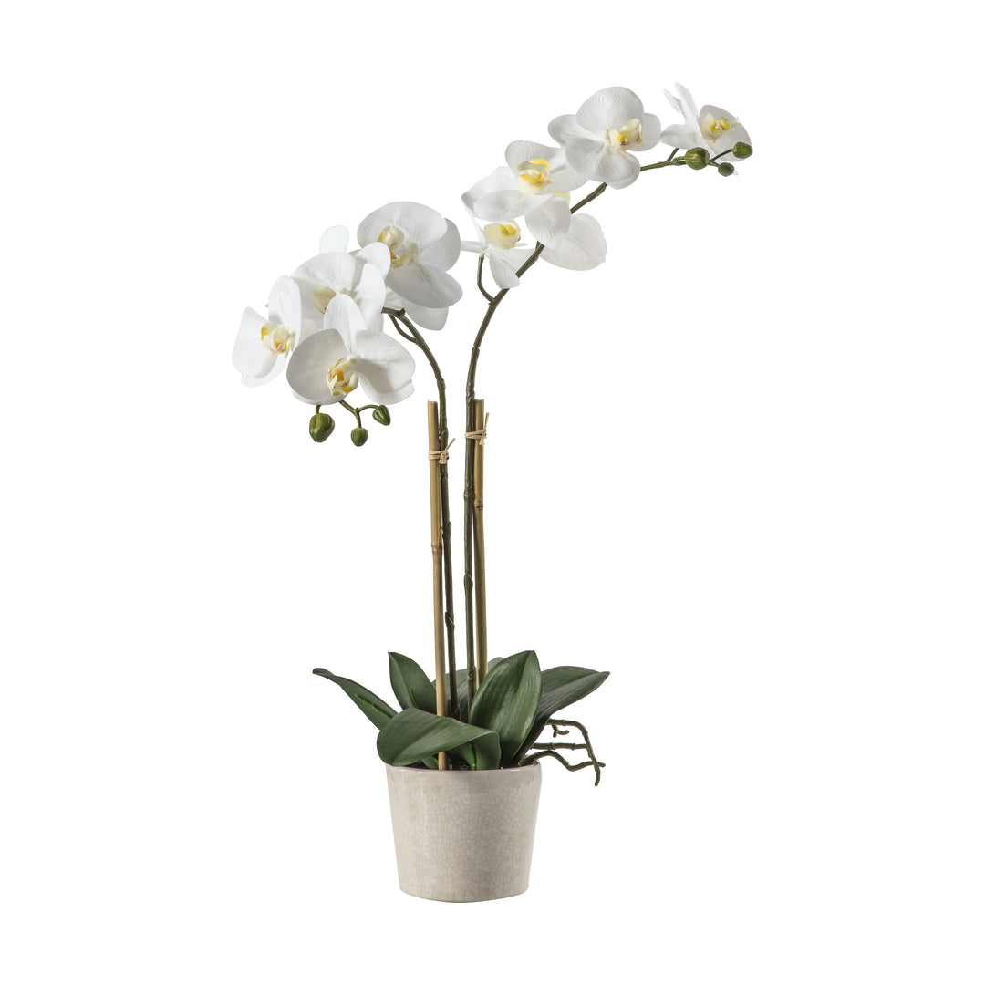 Artificial Orchid In Ceramic Pot