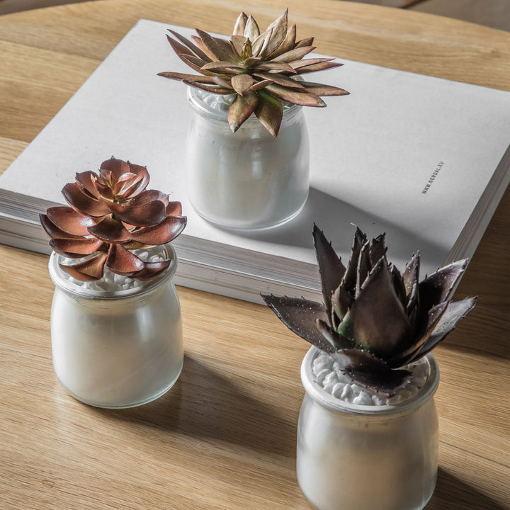 Artificial Succulent In Metallic Pots - Set Of Three