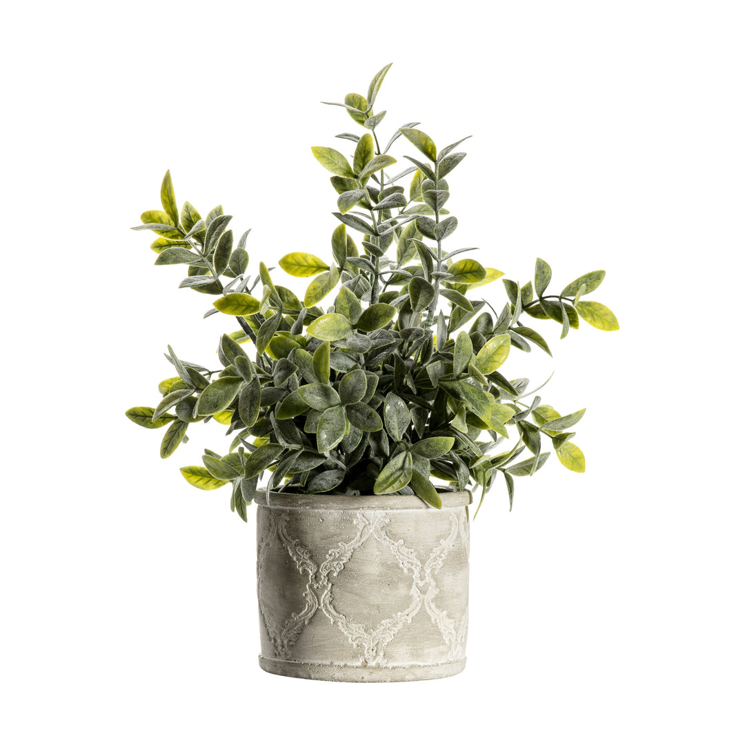 Artificial Sage In Patterned Pot